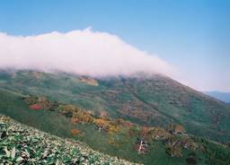 記事のアイキャッチ画像