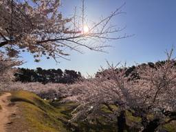 記事のアイキャッチ画像