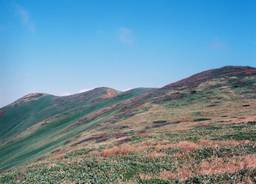 記事のアイキャッチ画像