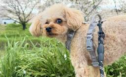 記事のアイキャッチ画像