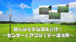 記事のアイキャッチ画像