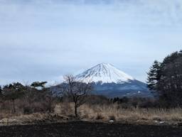 記事のアイキャッチ画像